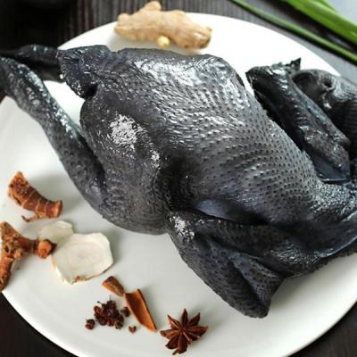 Chuyên Cung Cấp GÀ ÁC TƯƠI SỐNG Tại TP.HCM