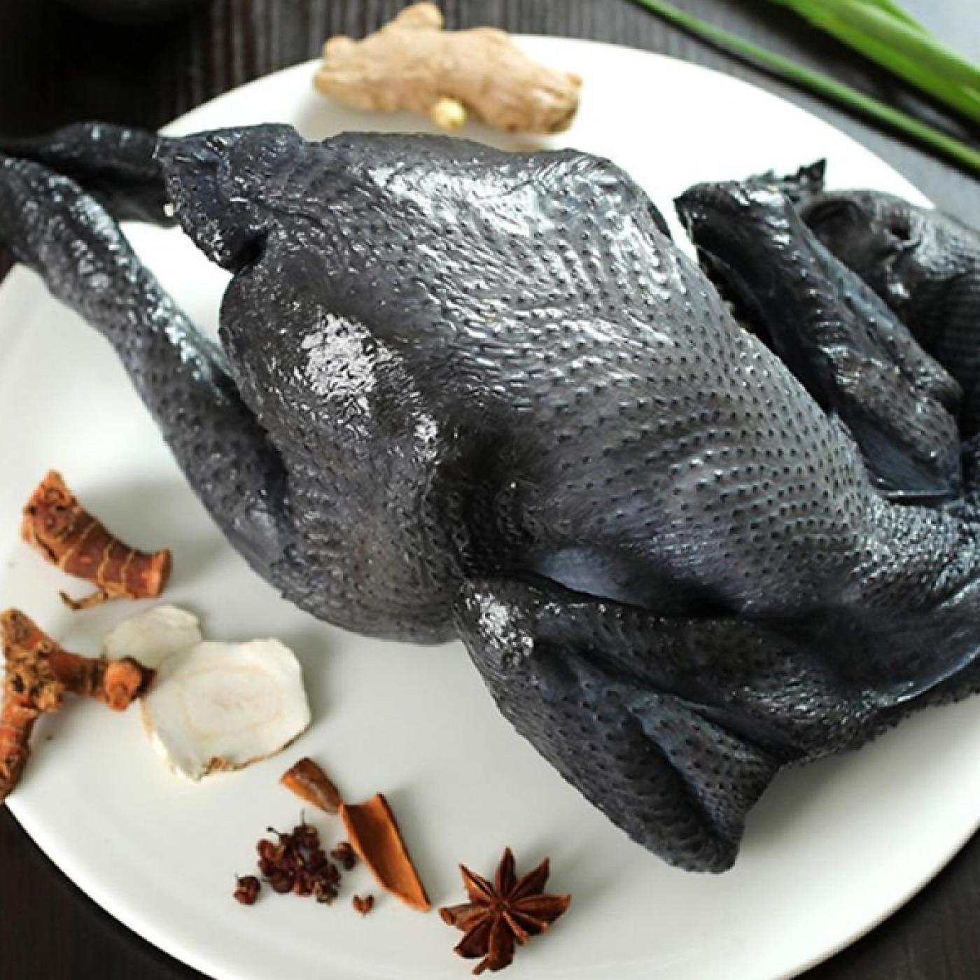 Thịt gà ác có bổ dưỡng không? - Trại Giống Thu Hà